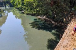 萬江：河涌現“綠水”，偷排企業被查處！